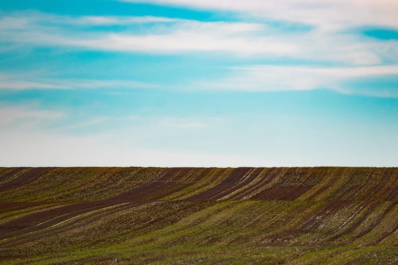 Sunlit Plains